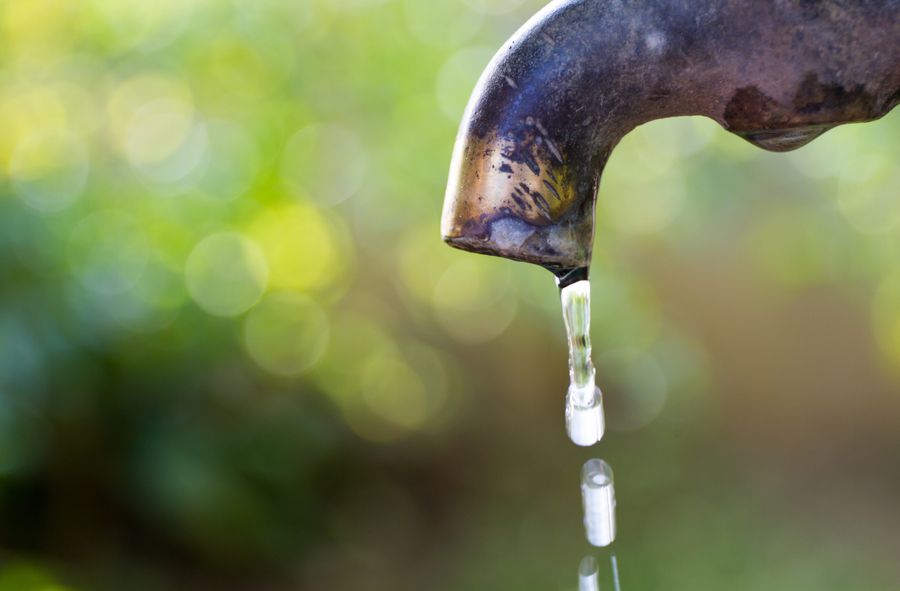 A Few Ways to Save Water for Your Garden or Swimming Pool