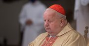 Kard. Dziwisz znalazł list ofiary pedofilii