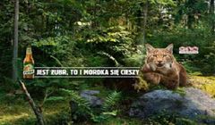 Janusz Chabior w akcji "Mordka się cieszy na widok Żubra"