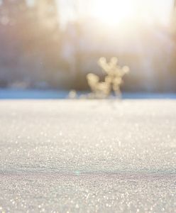 Jaka pogoda na Wigilię i święta Bożego Narodzenia? Mamy najnowszą prognozę