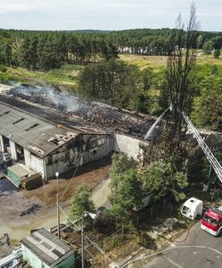 Mówią: dość. Będzie pozew po pożarze w Zielonej Górze