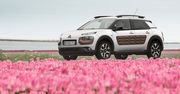 Citroën C4 Cactus - awangarda dla każdego