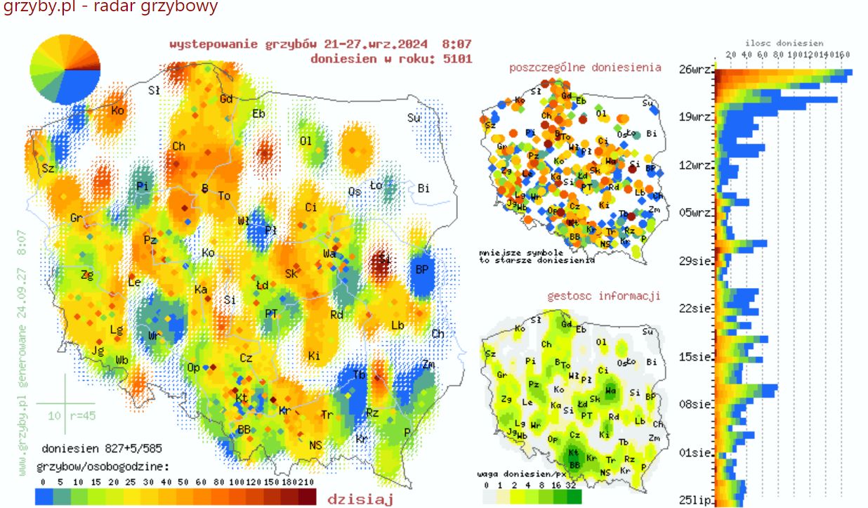 Gdzie na grzyby? W tych miejscach jest ich najwięcej