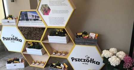 ’Pszczółka’ ratuje pszczoły dziko żyjące. Funduje specjalne hotele dla pszczół