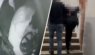 Ataki na kierowców MPK. Sprawca został zatrzymany