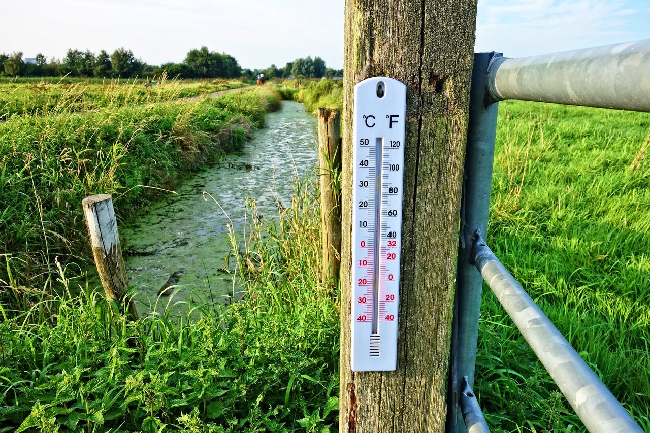 Aplikacja dnia: Meteo ICM. Prognoza numeryczna
