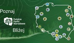 GoldenSubmarine będzie promować Polskie Parki Narodowe