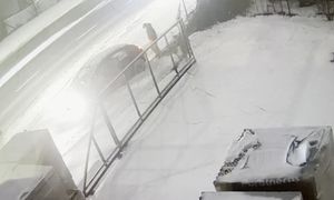 Pokazali zdjęcie z Kalisza. Policja apeluje do świadków