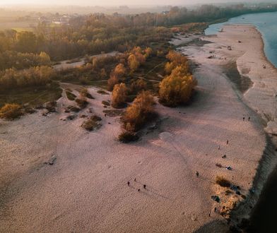 Mówią, że to perełka pod Warszawą. Relaks na tej plaży może słono kosztować