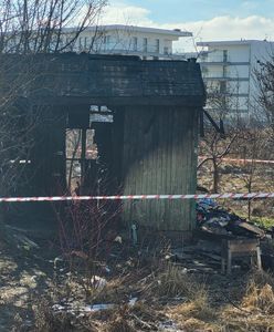 Tragiczny finał pożaru na terenie ogródków działkowych. Nie żyje mężczyzna