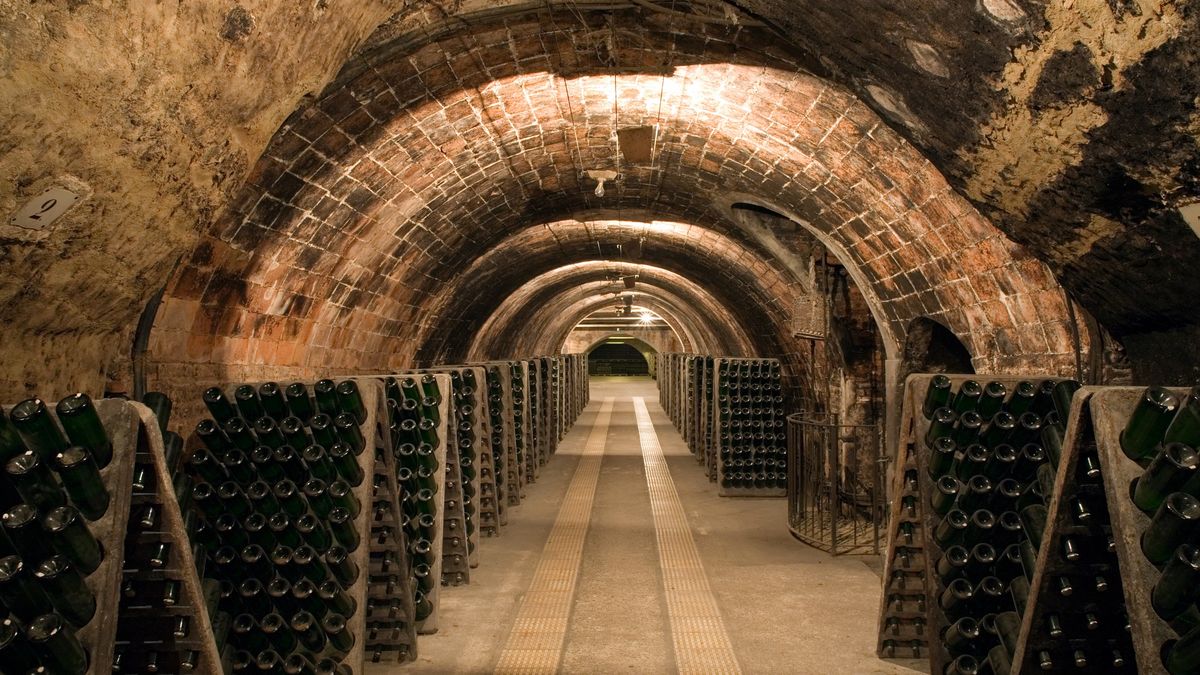 Piwnica z winami - zdjęcie ilustracyjne