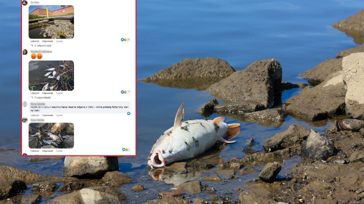 Wody Polskie organizują konkurs.