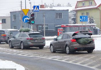 Choinka na dachu. Oto co mówi prawo