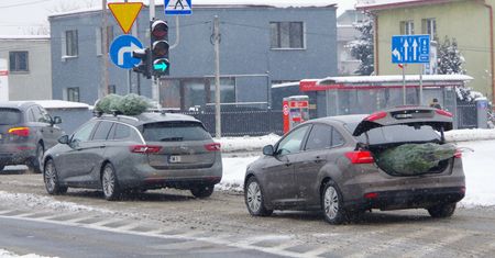 Choinka na dachu. Oto co mówi prawo