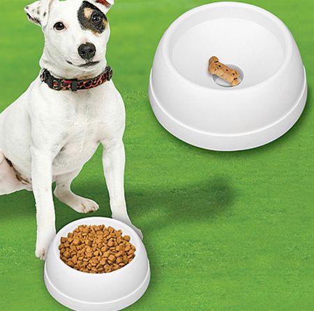 Finicky Feeders – nakarm swojego psa do syta! 2