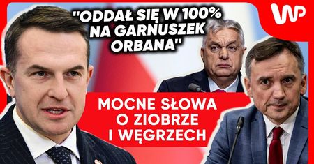 Azyl dla Ziobry. Rzecznik rządu bez litości: Stał się pośmiewiskiem