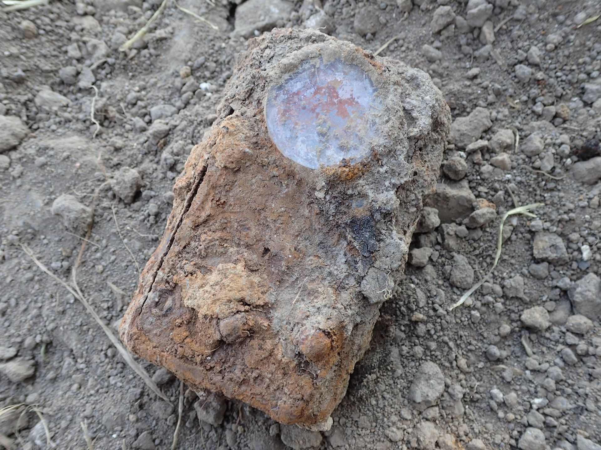 Odkrycie w Pleśnicy