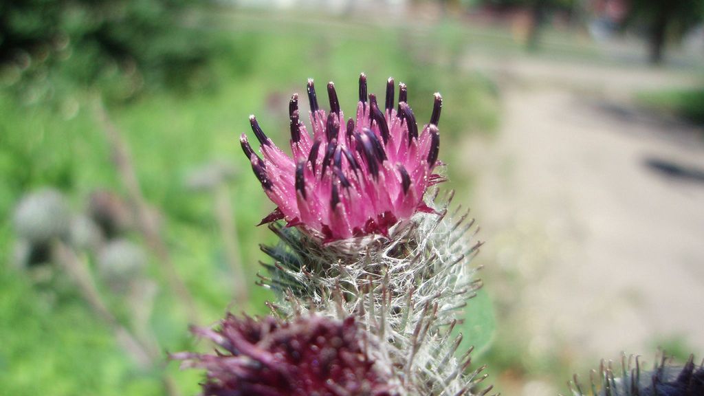 Ochocka Galeria Fotograficzna 1