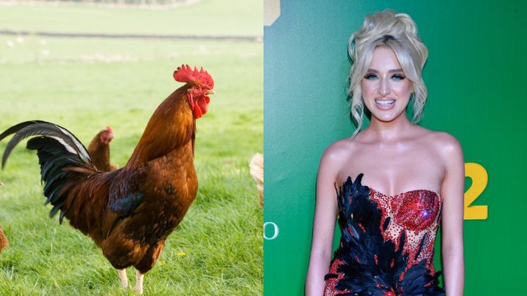  Caroline Derpienski opowiada o udziale w "Damach i wieśniaczkach"