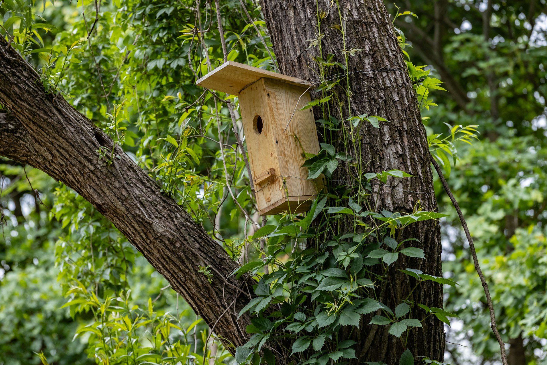 W Bieżanowie-Prokocimiu w Krakowie powstał nowy park, m.in. w ramach krakowskiego budżetu obywatelskiego