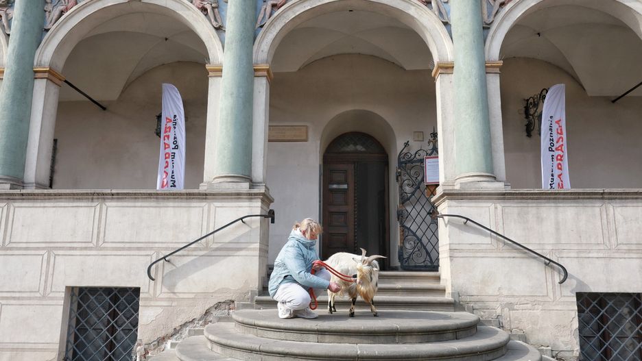 Tłumy poznaniaków na Starym Rynku