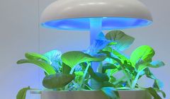 Technologia zaczerpnięta od NASA pozwala na uprawę roślin i warzyw w domu. Wyhodować można m.in. zioła, przyprawy, truskawki czy pomidorki