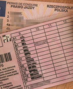 За що у Польщі можна втратити водійські права?