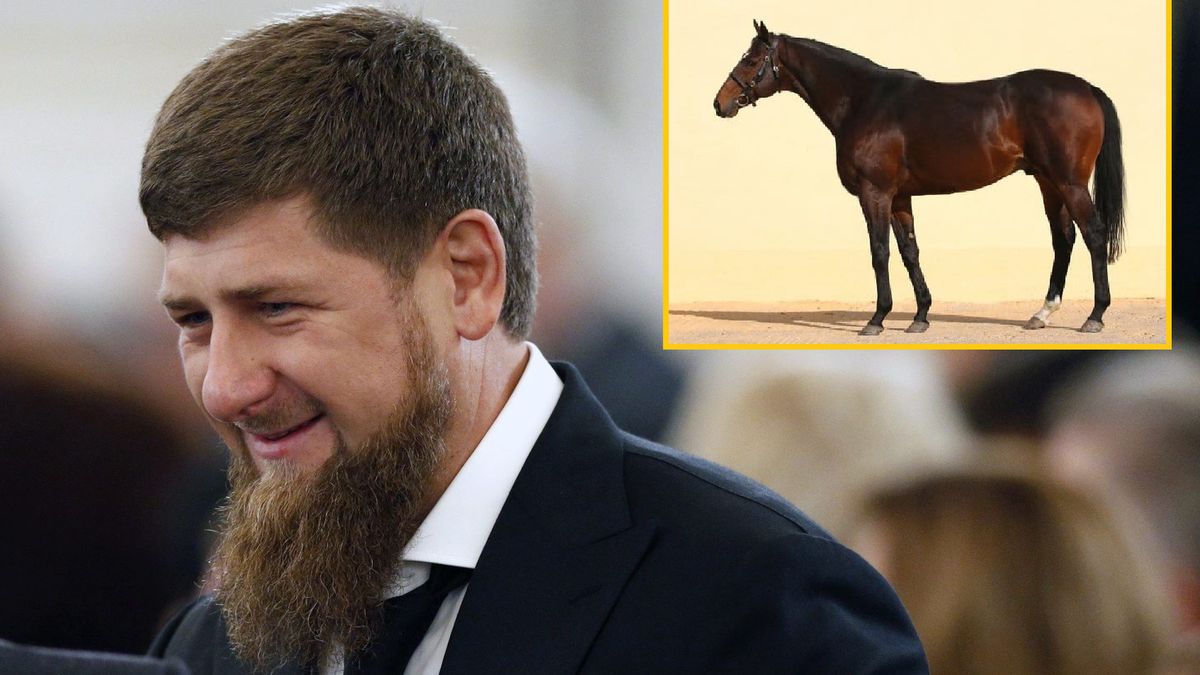 Ukradli konia Kadyrowa