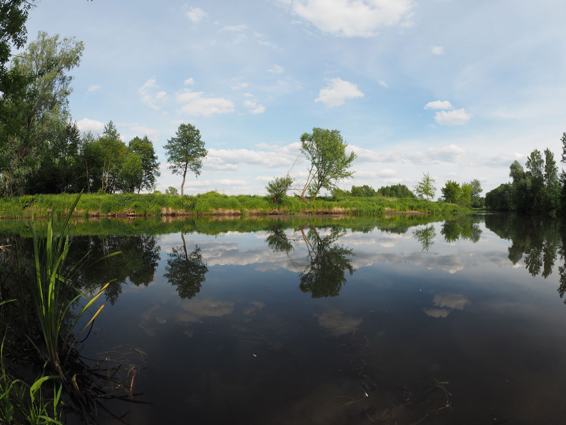 Co to jest obiektyw fisheye (rybie oko)? 17