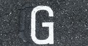 22 słowa na literę "G". Odgadniesz wszystkie?