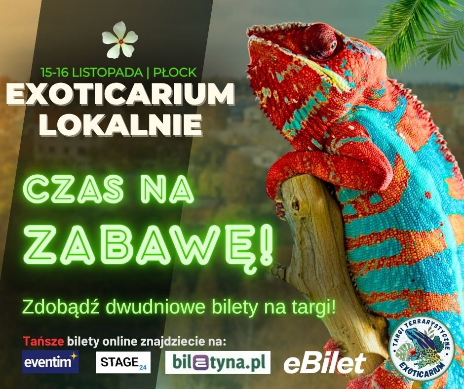 Zapraszamy na targi
