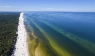 Rekordowo ciepłe Morze Bałtyckie w lipcu. Co jest przyczyną? Ekspert tłumaczy