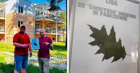 "Cud" w Parczewie. Liść z drzewa został sprzedany