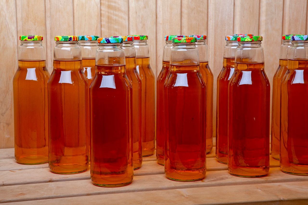 Dziewanna wielkokwiatowa. Naturalne lekarstwo na kaszel i nie tylko