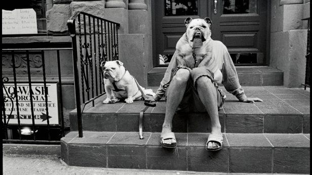 Wystawa Elliotta Erwitta w Warszawie! 1