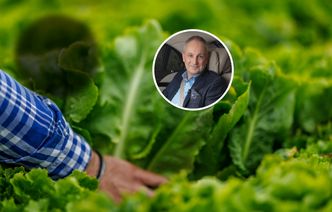 Skąd sałata w Polsce zimą? Ujawnia swój biznes