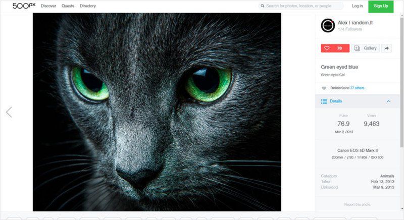 500px sprzedało zdjęcia Fotolii i nie podpisało fotografa. Was też to może spotkać 2