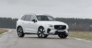 Segment premium w Polsce najmocniejszy od dawna. Oto najpopularniejsze modele