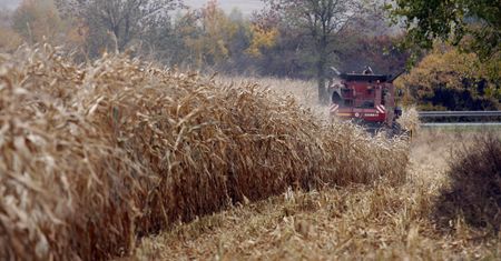 Rolnicy wskazują na nierówne zasady w handlu żywnością