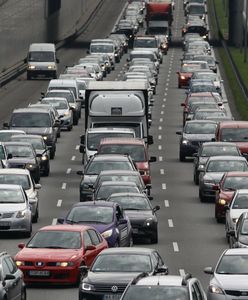 Łoś zablokował trasę ekspresową. Powstał ogromny korek