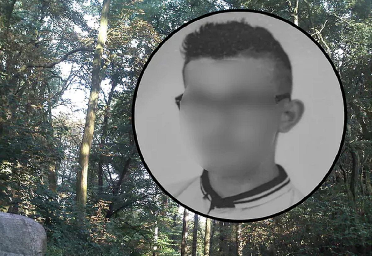 13-letni Kuba zginął przygnieciony konarem. Poruszające słowa nauczyciela