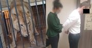 "Udałem się do zoo celem zobaczenia lwa". Grozi mu 5 lat więzienia