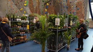 Tarnów: Festiwal Roślin w hali sportowej. Przez weekend można kupić wyjątkowe okazy