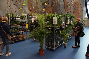 Tarnów: Festiwal Roślin w hali sportowej. Przez weekend można kupić wyjątkowe okazy