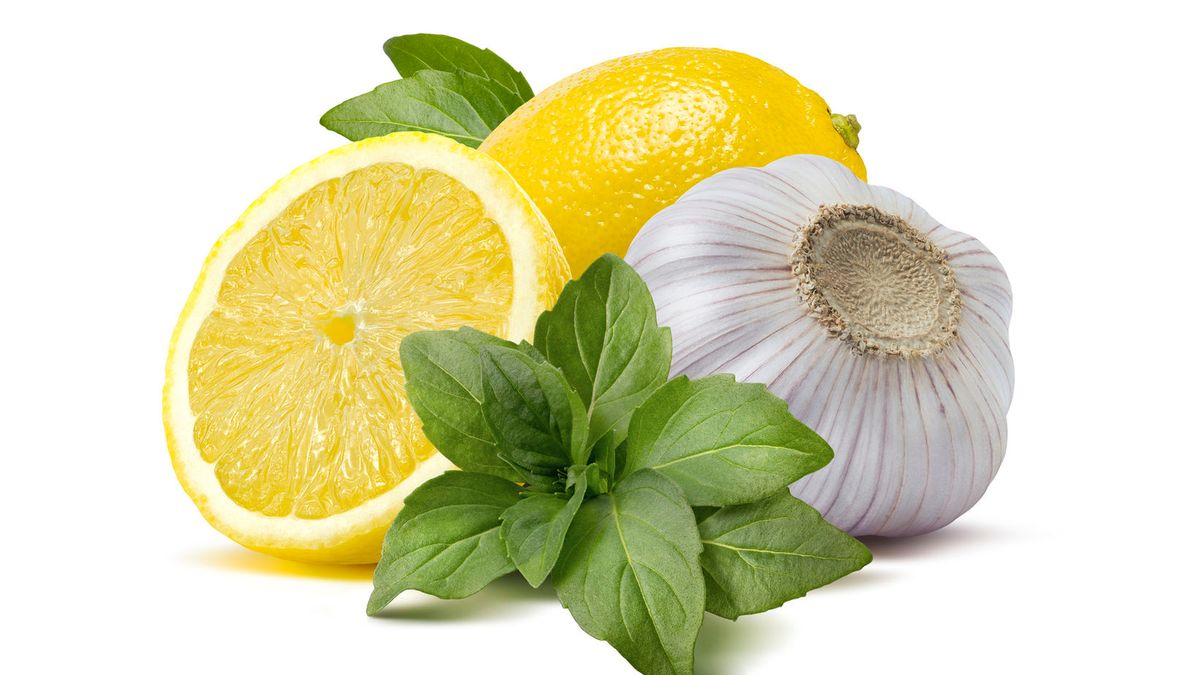 Połączenie czosnku i cytryny poddanym fermentacji tworzy bardzo skuteczny, prawie uniwersalny środek na wiele dolegliwości