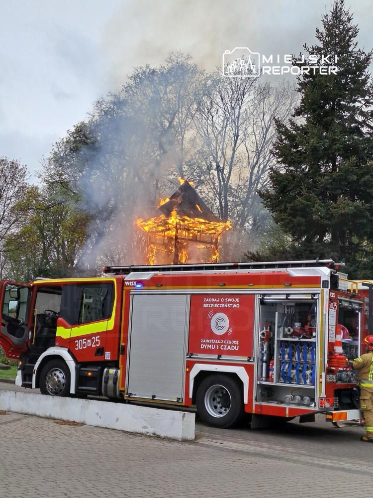 Fot. Czytelnik Miejskiego Reportera
