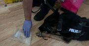 W Inowrocławiu rowerem przejechał przez pasy. Miał przy sobie narkotyki