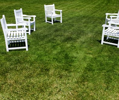 Zielona trawa w dzikim ogrodzie. Jest na nią kilka sposobów