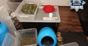 Radom: Myślał, że folia w drzwiach zatrzyma zapach narkotyków. 36-latek wpadł przez kontrolę drogową