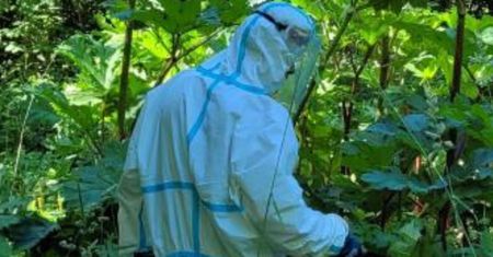 Leśnicy toczą walkę. "Bardzo niebezpieczny dla ludzi"